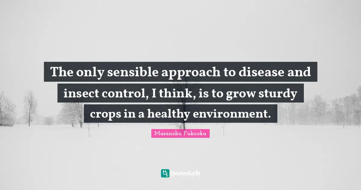 Crops Quotes: "The only sensible approach to disease and insect control, I think, is to grow sturdy crops in a healthy environment."