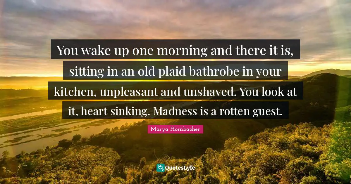 You wake up one morning and there it is, sitting in an old plaid bathrobe in your kitchen, unpleasant and unshaved. You look at it, heart sinking. Madness is a rotten guest.