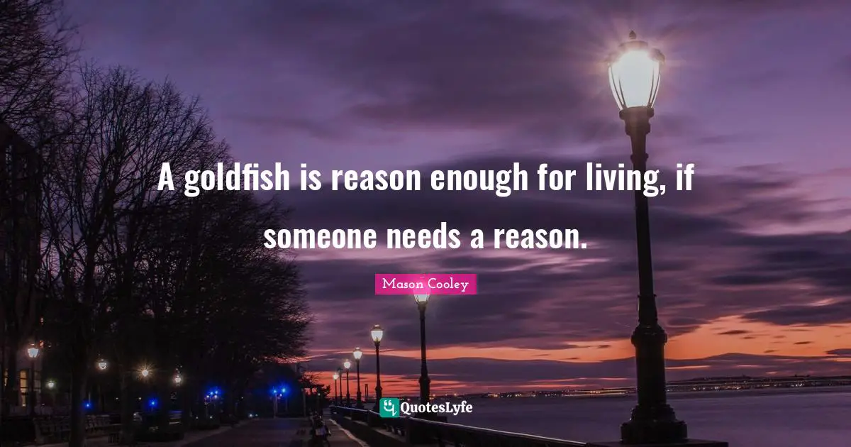 A goldfish is reason enough for living, if someone needs a reason.