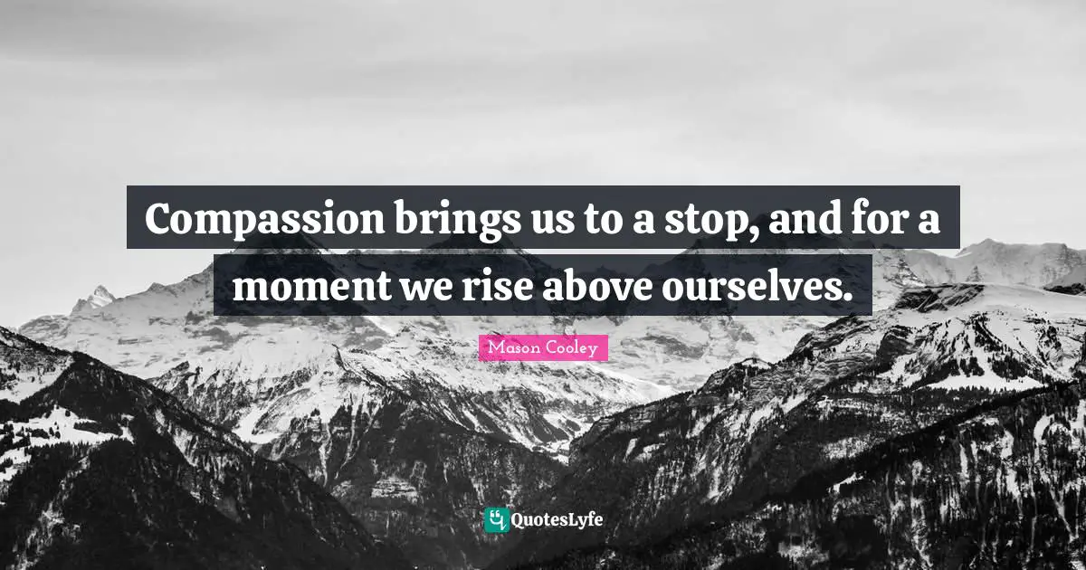 Compassion brings us to a stop, and for a moment we rise above ourselves.