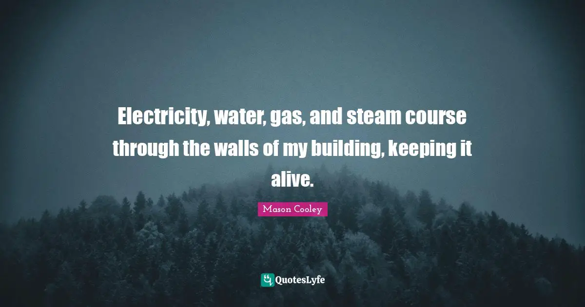 Electricity, water, gas, and steam course through the walls of my building, keeping it alive.