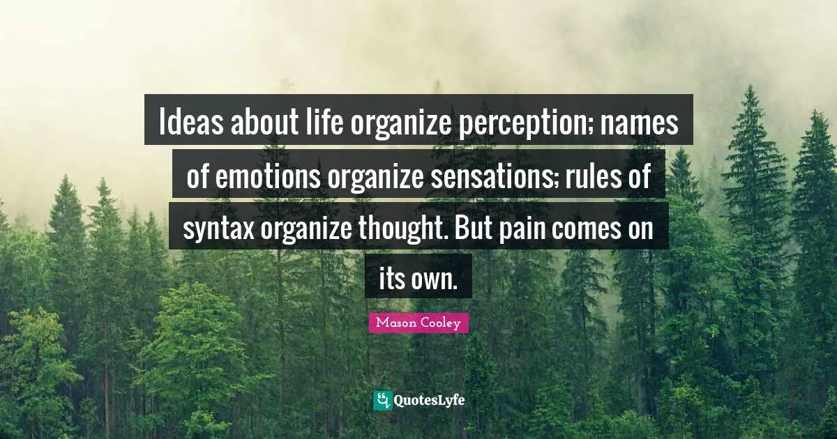 Ideas about life organize perception; names of emotions organize sensations; rules of syntax organize thought. But pain comes on its own.