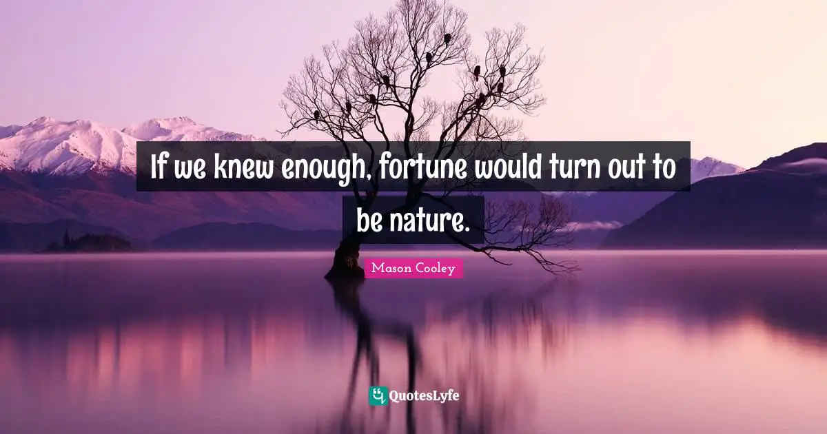 If we knew enough, fortune would turn out to be nature.