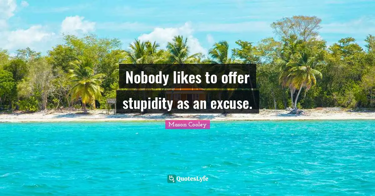 Nobody likes to offer stupidity as an excuse.