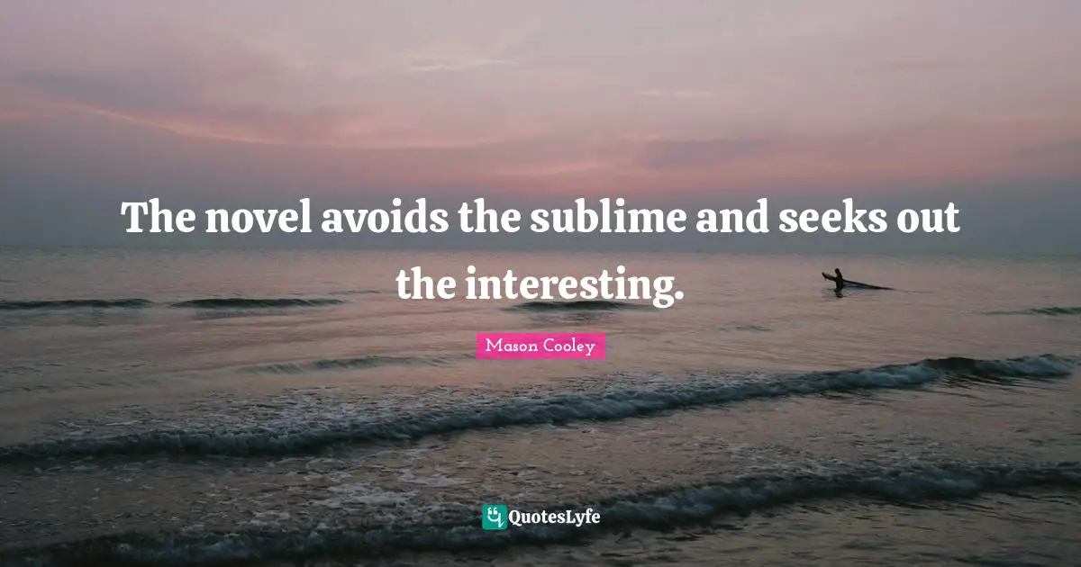 The novel avoids the sublime and seeks out the interesting.