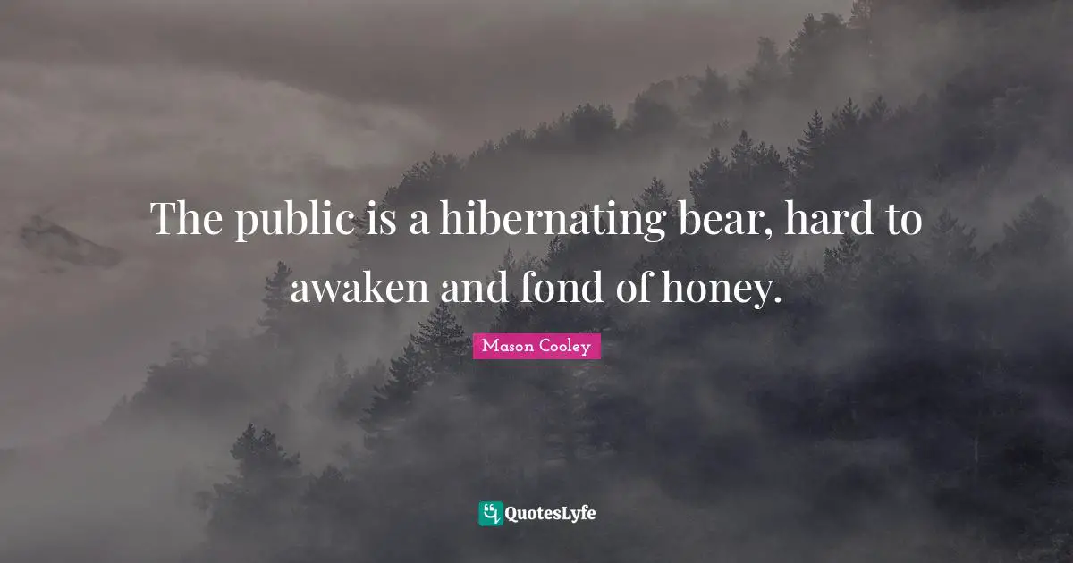 The public is a hibernating bear, hard to awaken and fond of honey.
