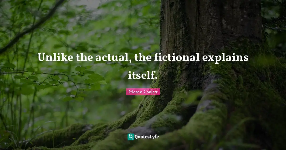 Unlike the actual, the fictional explains itself.