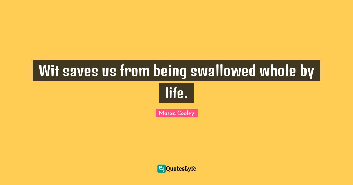 Wit saves us from being swallowed whole by life.
