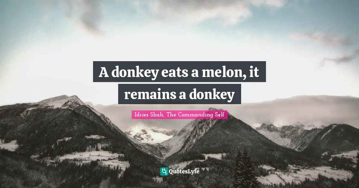 A donkey eats a melon, it remains a donkey