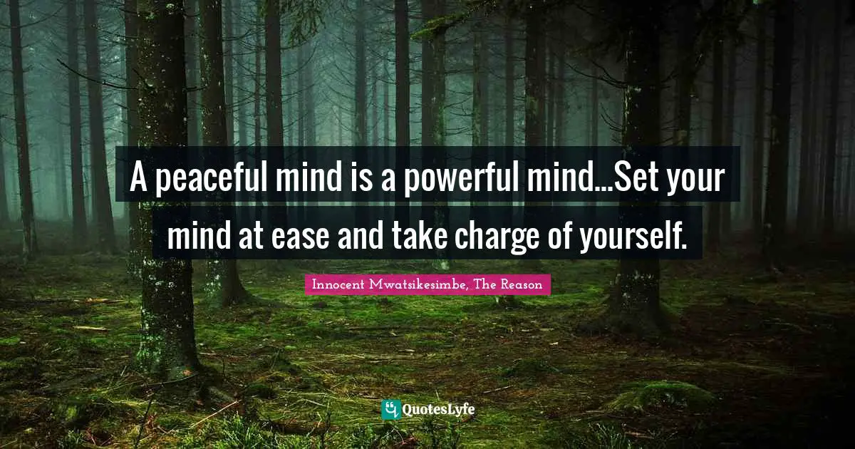 A peaceful mind is a powerful mind...Set your mind at ease and take charge of yourself.