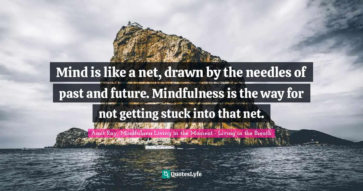 Living In The Moment Quotes: "Mind is like a net, drawn by the needles of past and future. Mindfulness is the way for not getting stuck into that net."