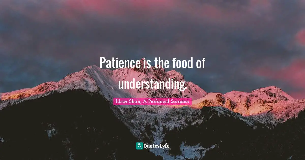 Patience is the food of understanding.