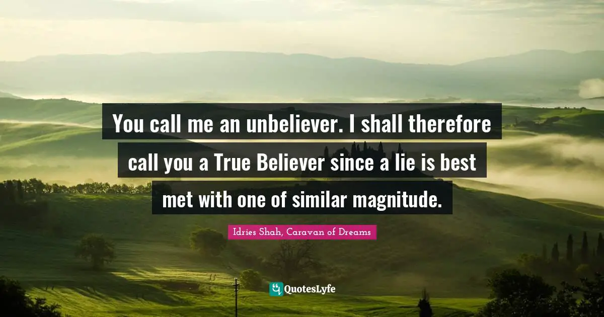 You call me an unbeliever. I shall therefore call you a True Believer since a lie is best met with one of similar magnitude.