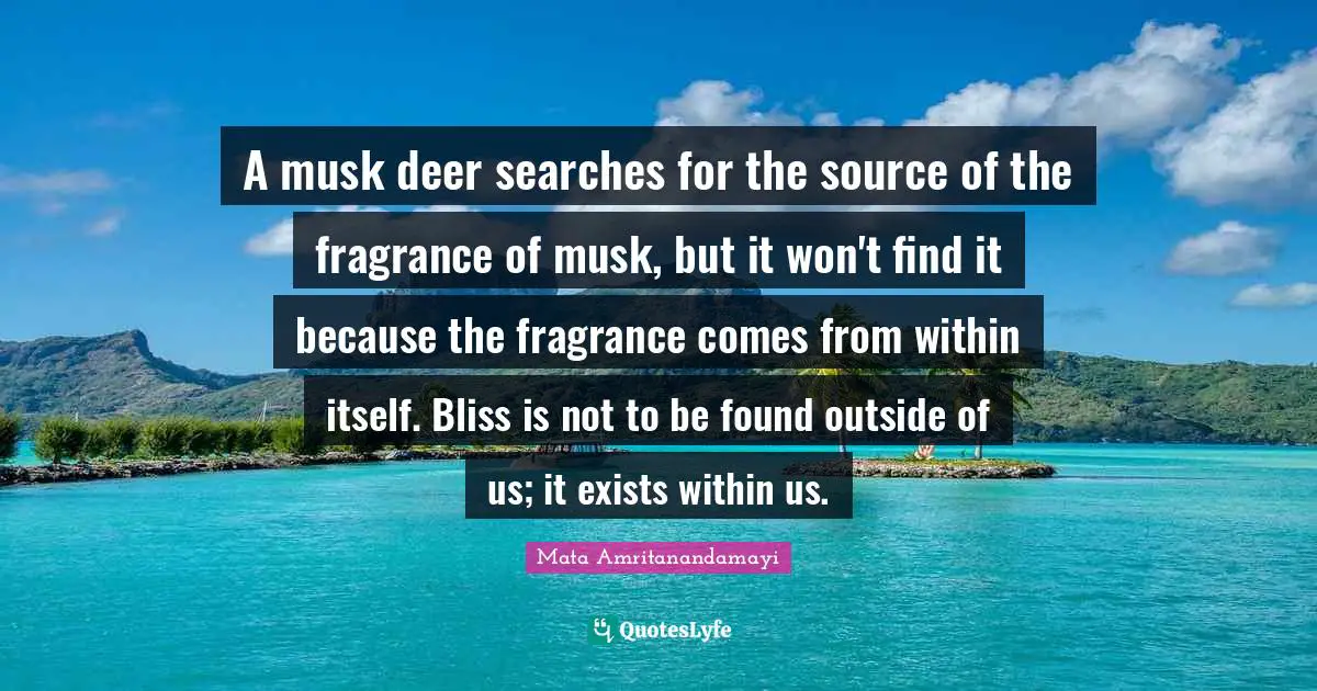 Musk Quotes: "A musk deer searches for the source of the fragrance of musk, but it won't find it because the fragrance comes from within itself. Bliss is not to be found outside of us; it exists within us."