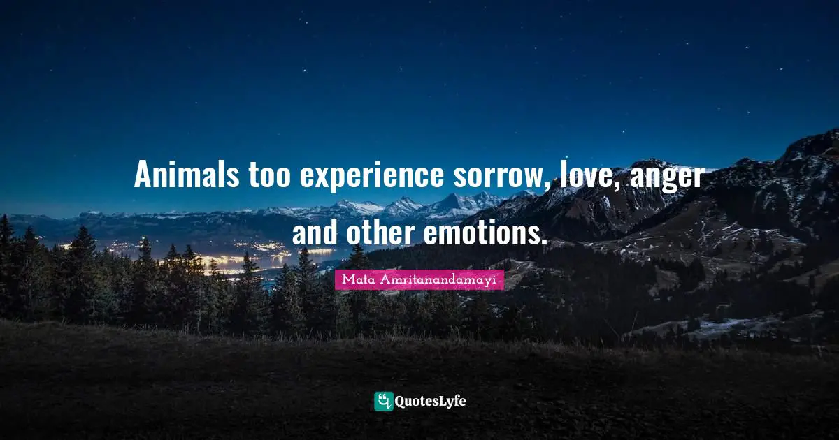 Animals too experience sorrow, love, anger and other emotions.