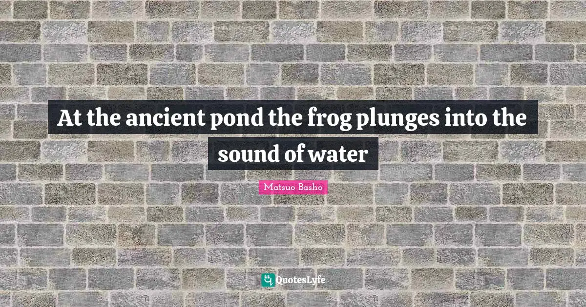 At the ancient pond the frog plunges into the sound of water