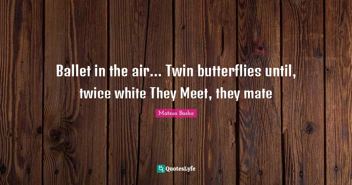Ballet in the air... Twin butterflies until, twice white They Meet, they mate