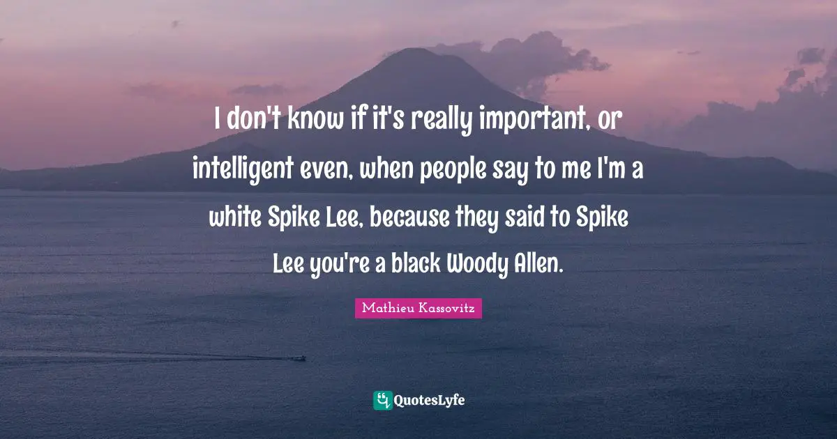 I don't know if it's really important, or intelligent even, when people say to me I'm a white Spike Lee, because they said to Spike Lee you're a black Woody Allen.