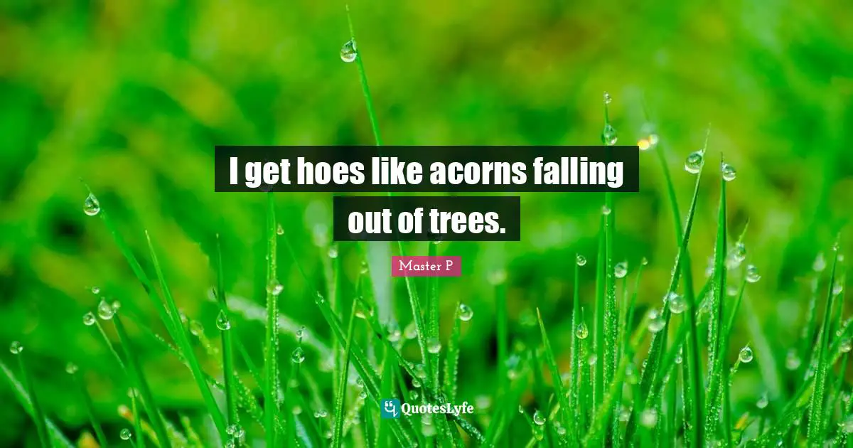 I get hoes like acorns falling out of trees.