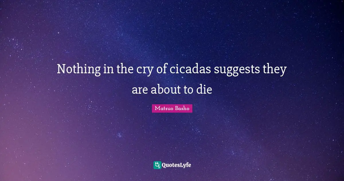 Matsuo Basho Quotes: "Nothing in the cry of cicadas suggests they are about to die"