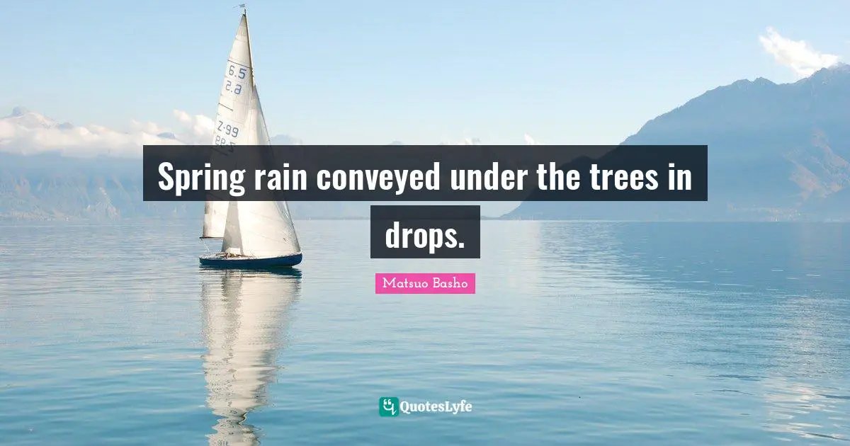 Spring rain conveyed under the trees in drops.