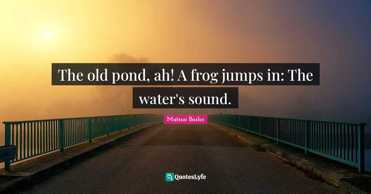 Ponds Quotes: "The old pond, ah! A frog jumps in: The water's sound."