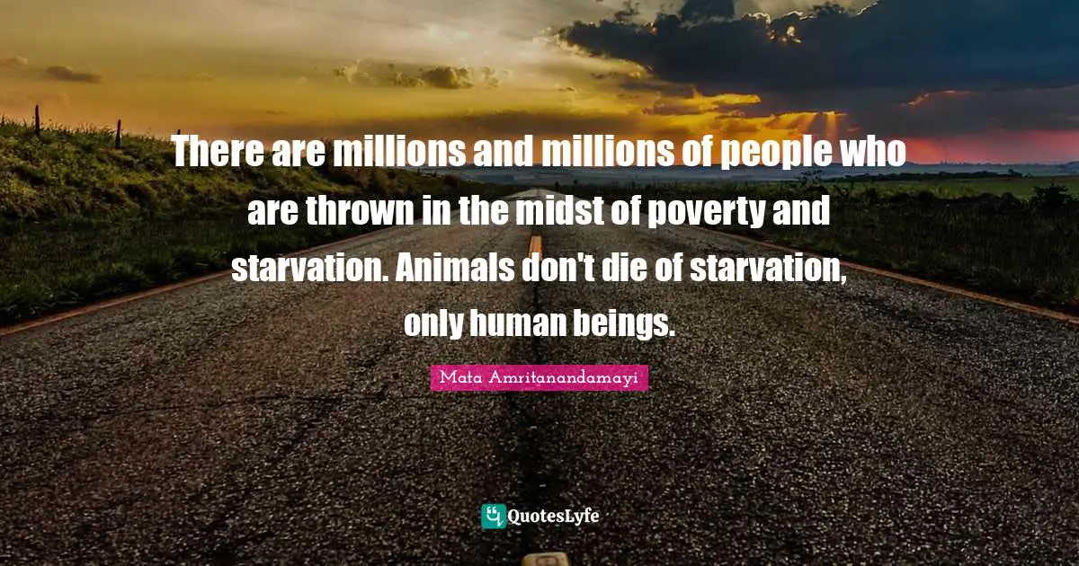 There are millions and millions of people who are thrown in the midst of poverty and starvation. Animals don't die of starvation, only human beings.