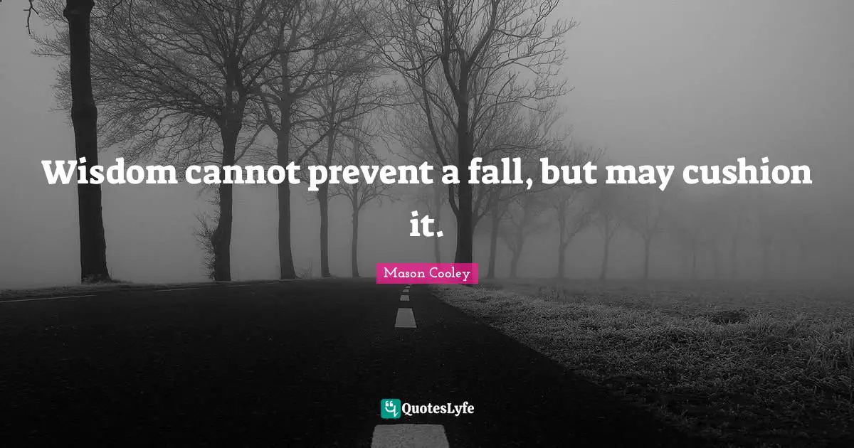 Cushions Quotes: "Wisdom cannot prevent a fall, but may cushion it."