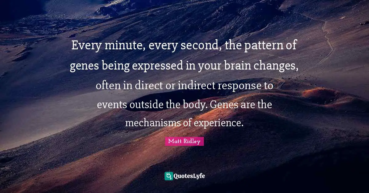 Every minute, every second, the pattern of genes being expressed in your brain changes, often in direct or indirect response to events outside the body. Genes are the mechanisms of experience.