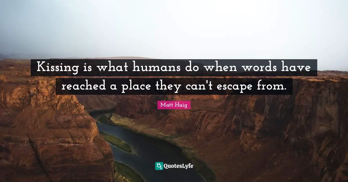 Kissing is what humans do when words have reached a place they can't escape from.