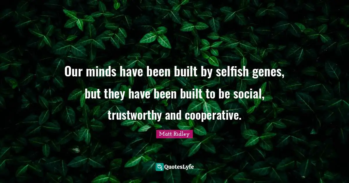 Our minds have been built by selfish genes, but they have been built to be social, trustworthy and cooperative.