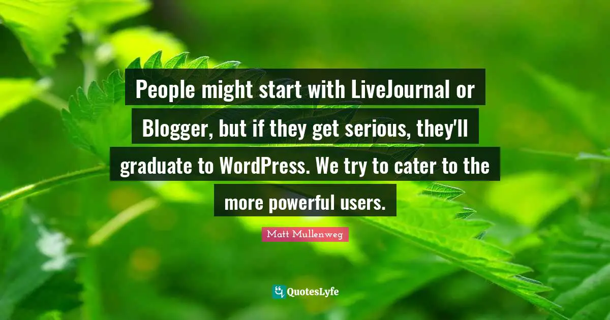 People might start with LiveJournal or Blogger, but if they get serious, they'll graduate to WordPress. We try to cater to the more powerful users.