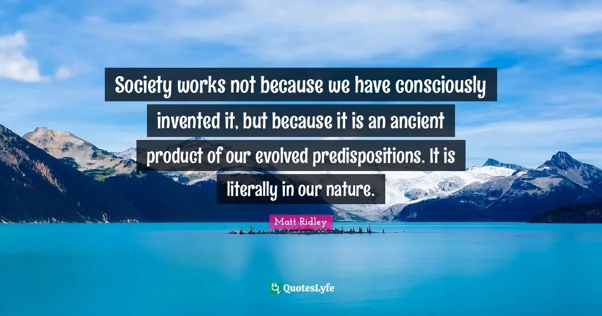 Society works not because we have consciously invented it, but because it is an ancient product of our evolved predispositions. It is literally in our nature.