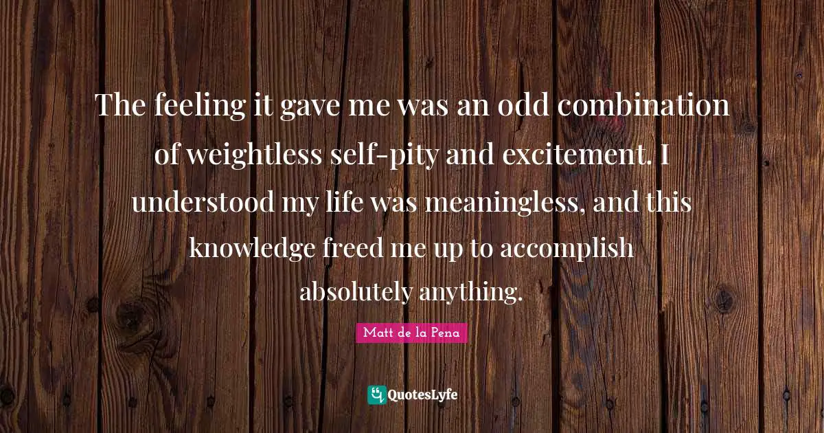 The feeling it gave me was an odd combination of weightless self-pity and excitement. I understood my life was meaningless, and this knowledge freed me up to accomplish absolutely anything.