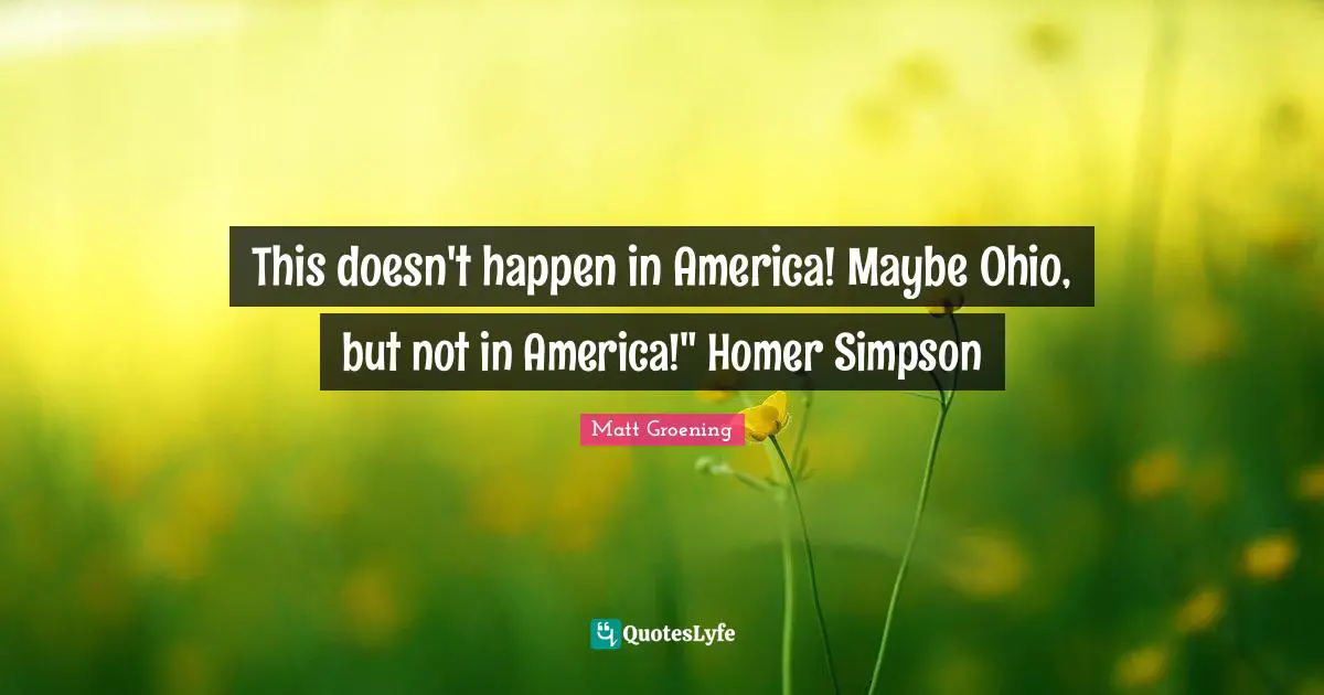 This doesn't happen in America! Maybe Ohio, but not in America!" Homer Simpson