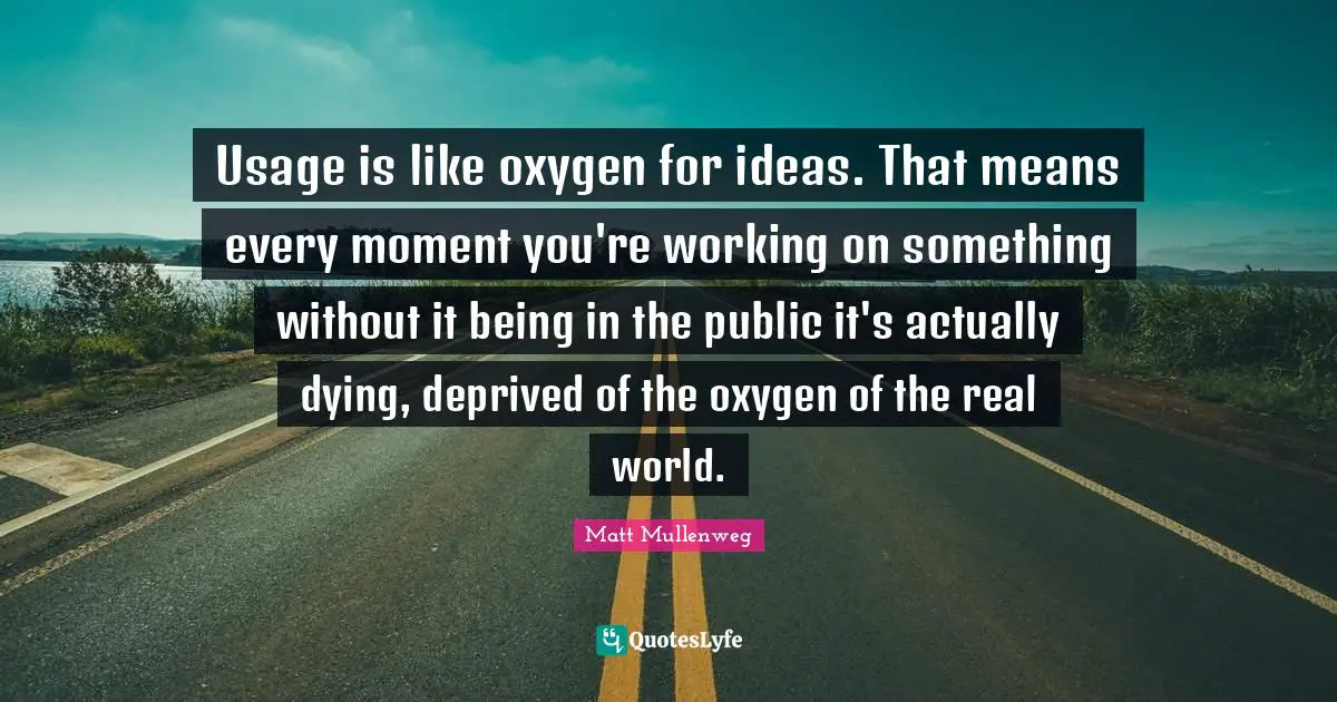 Usage is like oxygen for ideas. That means every moment you're working on something without it being in the public it's actually dying, deprived of the oxygen of the real world.