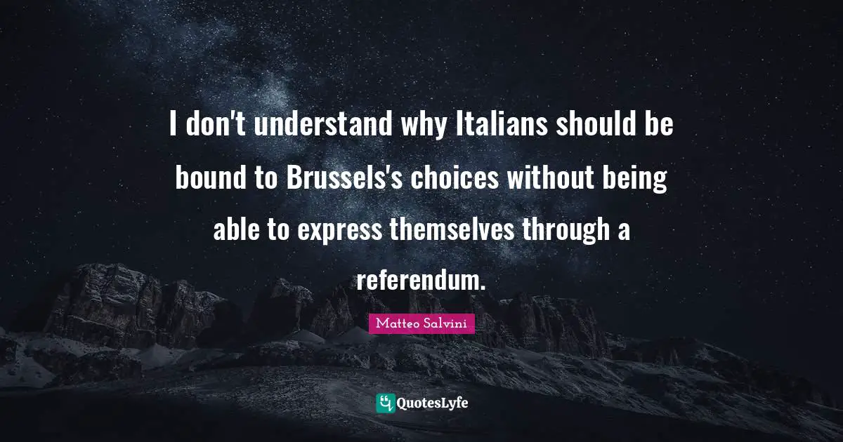 I don't understand why Italians should be bound to Brussels's choices without being able to express themselves through a referendum.