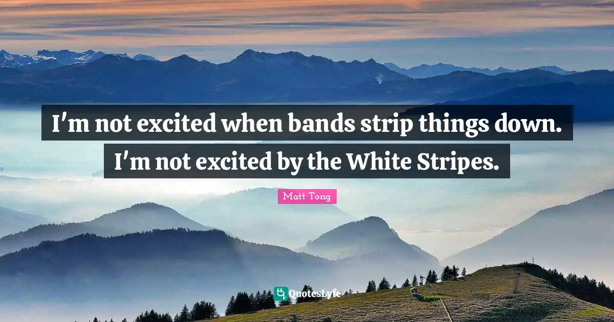 I'm not excited when bands strip things down. I'm not excited by the White Stripes.