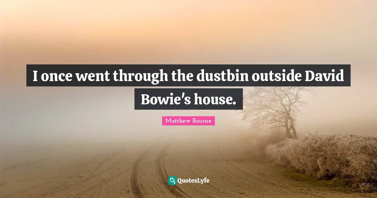 I once went through the dustbin outside David Bowie's house.