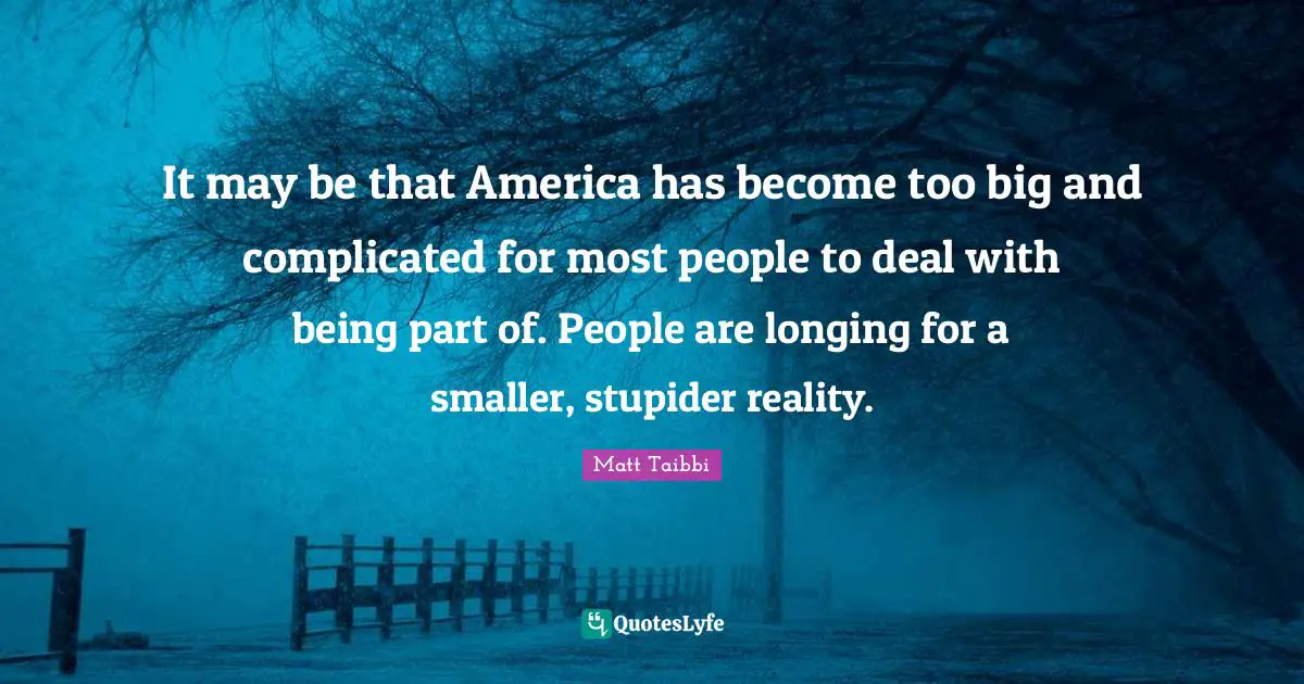 It may be that America has become too big and complicated for most people to deal with being part of. People are longing for a smaller, stupider reality.