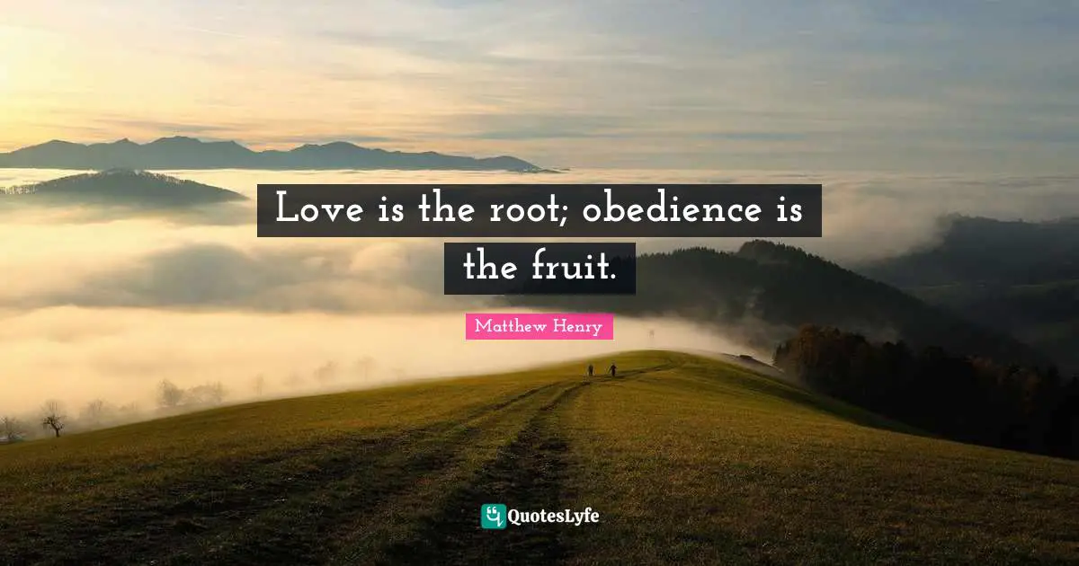Love is the root; obedience is the fruit.