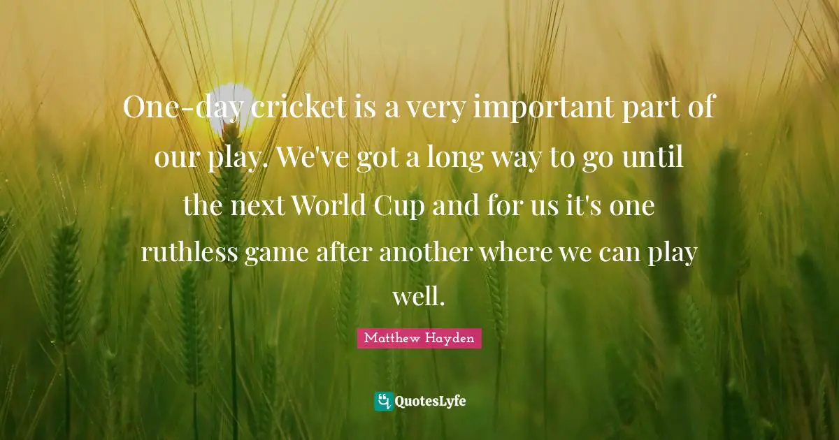 One-day cricket is a very important part of our play. We've got a long way to go until the next World Cup and for us it's one ruthless game after another where we can play well.