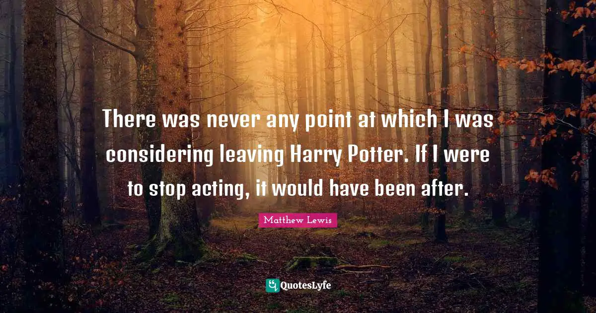 There was never any point at which I was considering leaving Harry Potter. If I were to stop acting, it would have been after.