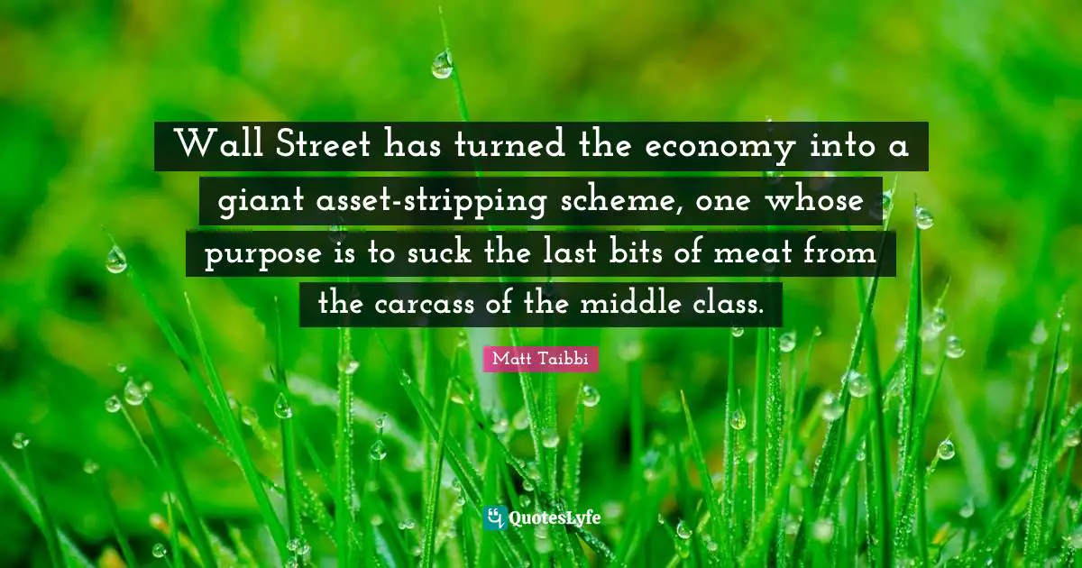 Stripping Quotes: "Wall Street has turned the economy into a giant asset-stripping scheme, one whose purpose is to suck the last bits of meat from the carcass of the middle class."