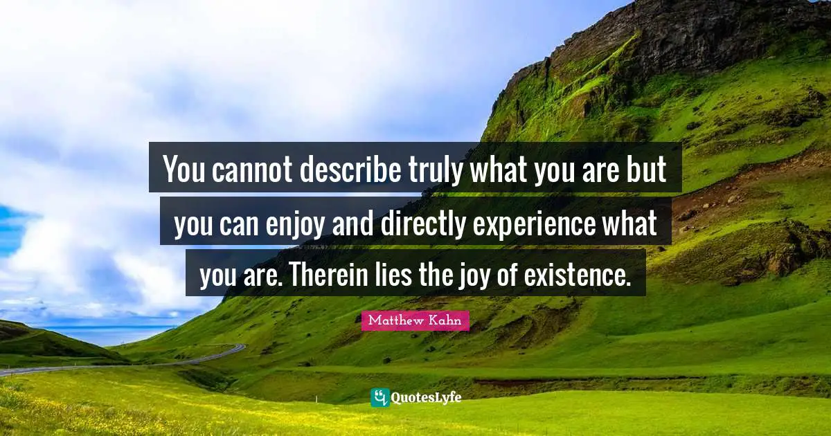 You cannot describe truly what you are but you can enjoy and directly experience what you are. Therein lies the joy of existence.