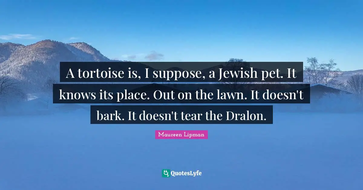 A tortoise is, I suppose, a Jewish pet. It knows its place. Out on the lawn. It doesn't bark. It doesn't tear the Dralon.
