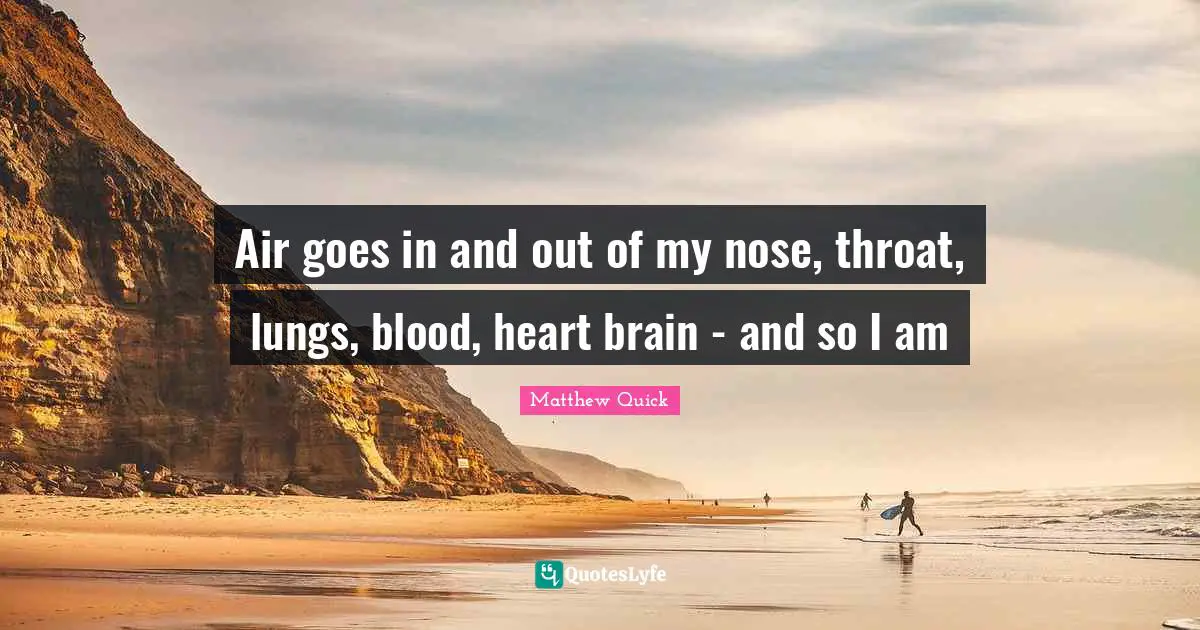 Air goes in and out of my nose, throat, lungs, blood, heart brain - and so I am