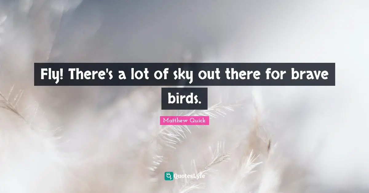 Fly! There's a lot of sky out there for brave birds.
