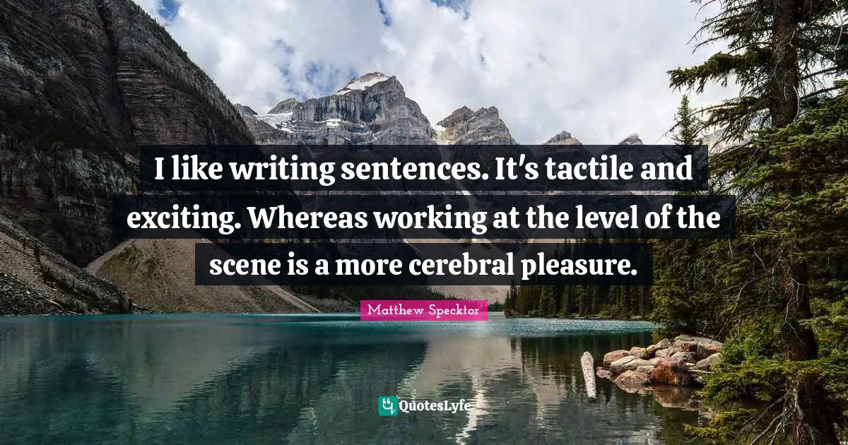 Cerebral Quotes: "I like writing sentences. It's tactile and exciting. Whereas working at the level of the scene is a more cerebral pleasure."