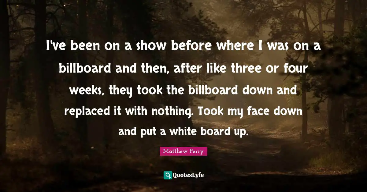 I've been on a show before where I was on a billboard and then, after like three or four weeks, they took the billboard down and replaced it with nothing. Took my face down and put a white board up.